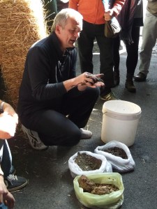 Is squiggy really a professional term???