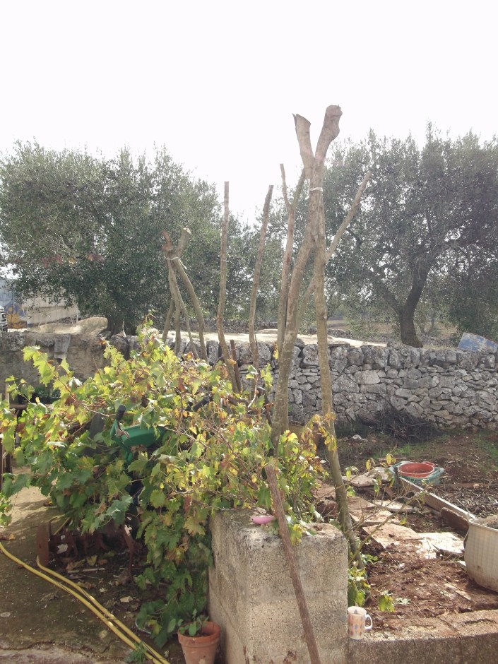 Pics from the visit..